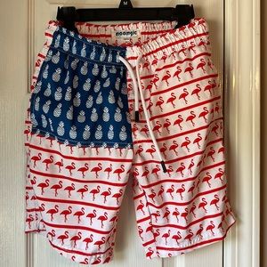 Boys’ Patriotic/Beach Themed Swimming Trunks